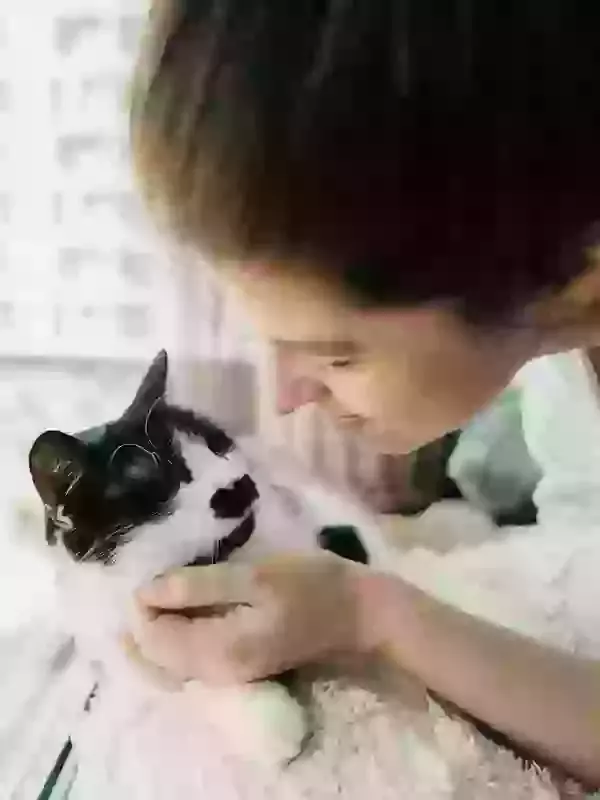 Why choose Phoenix Pet Cremations for your cat?